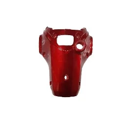 PARÇA VSC GOSTERGE KAPAK ABS