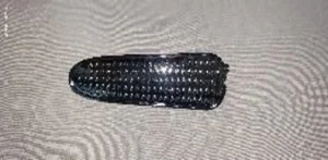 PARÇA RS4 ON PANEL GRENAJ IC